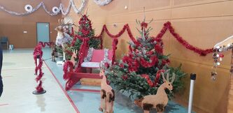 Arbre de Noël des adhérents
